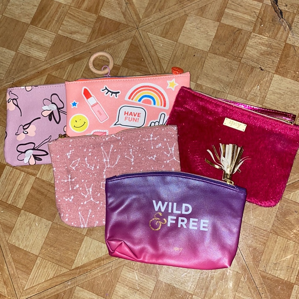 5 ipsy bags
